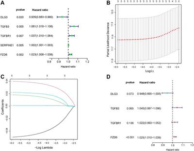 HIPPO signaling-related signature for predicting prognosis and therapeutic response in gastric cancer